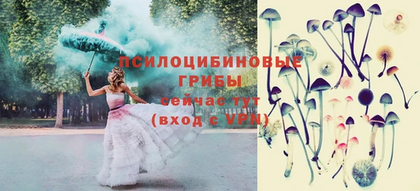 молекула духа Балахна