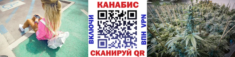 сайты даркнета какой сайт  Курильск  Канабис сатива 